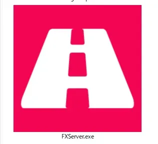 解凍したフォルダ内の FXServer.exe