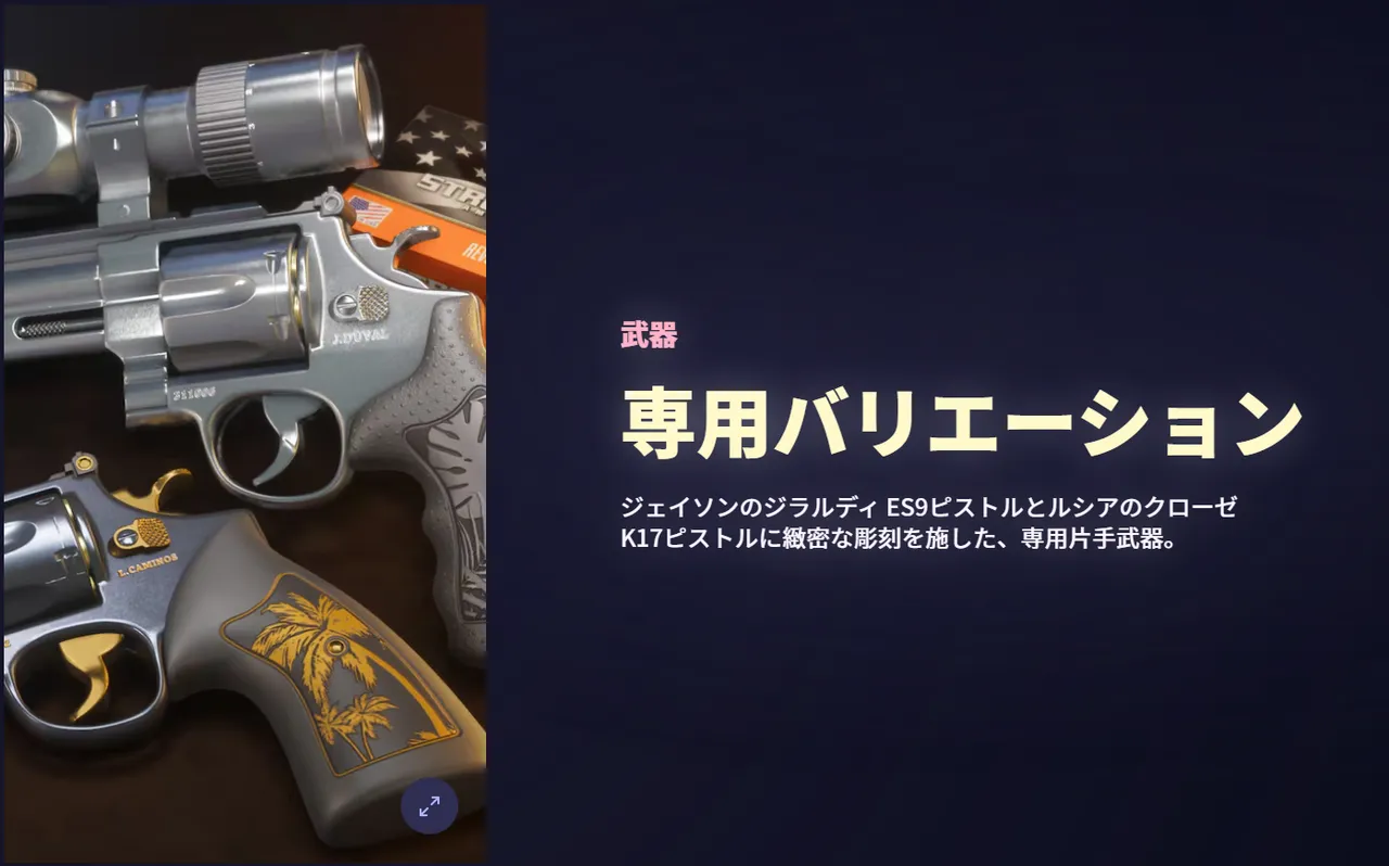 専用カスタムピストルのバリエーション